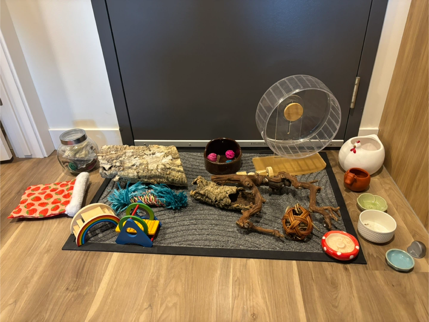 Hamster/Small Pet Supplies & Accessories
