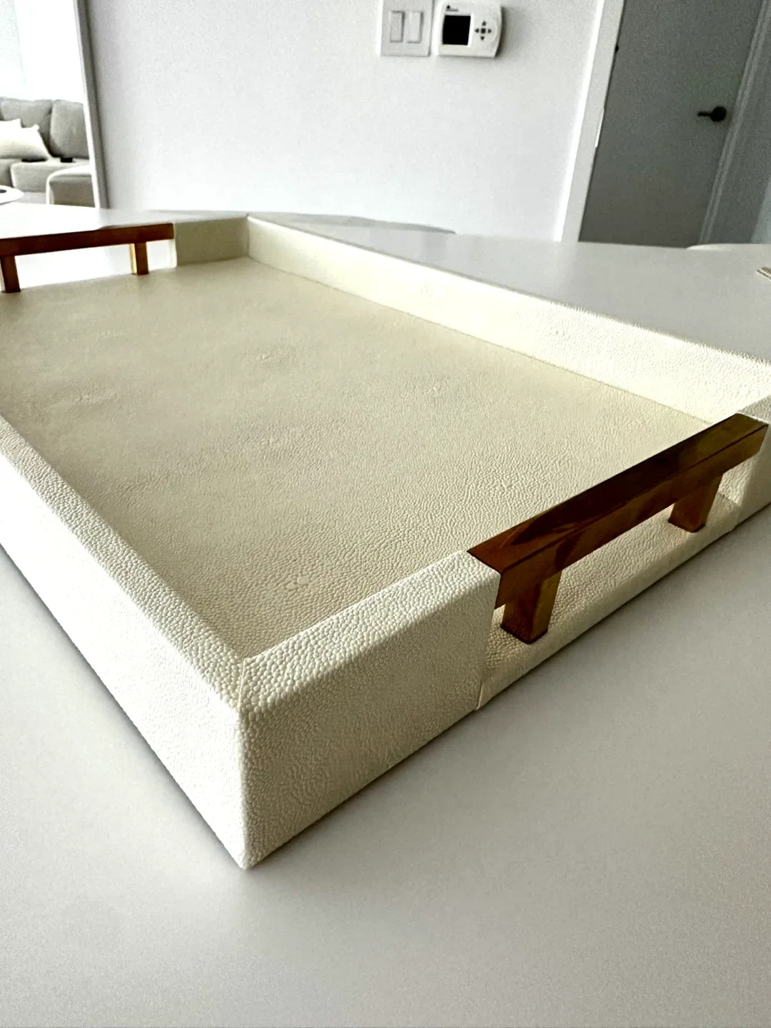 Home Redefined White Faux Leather Tray image indicator(3)