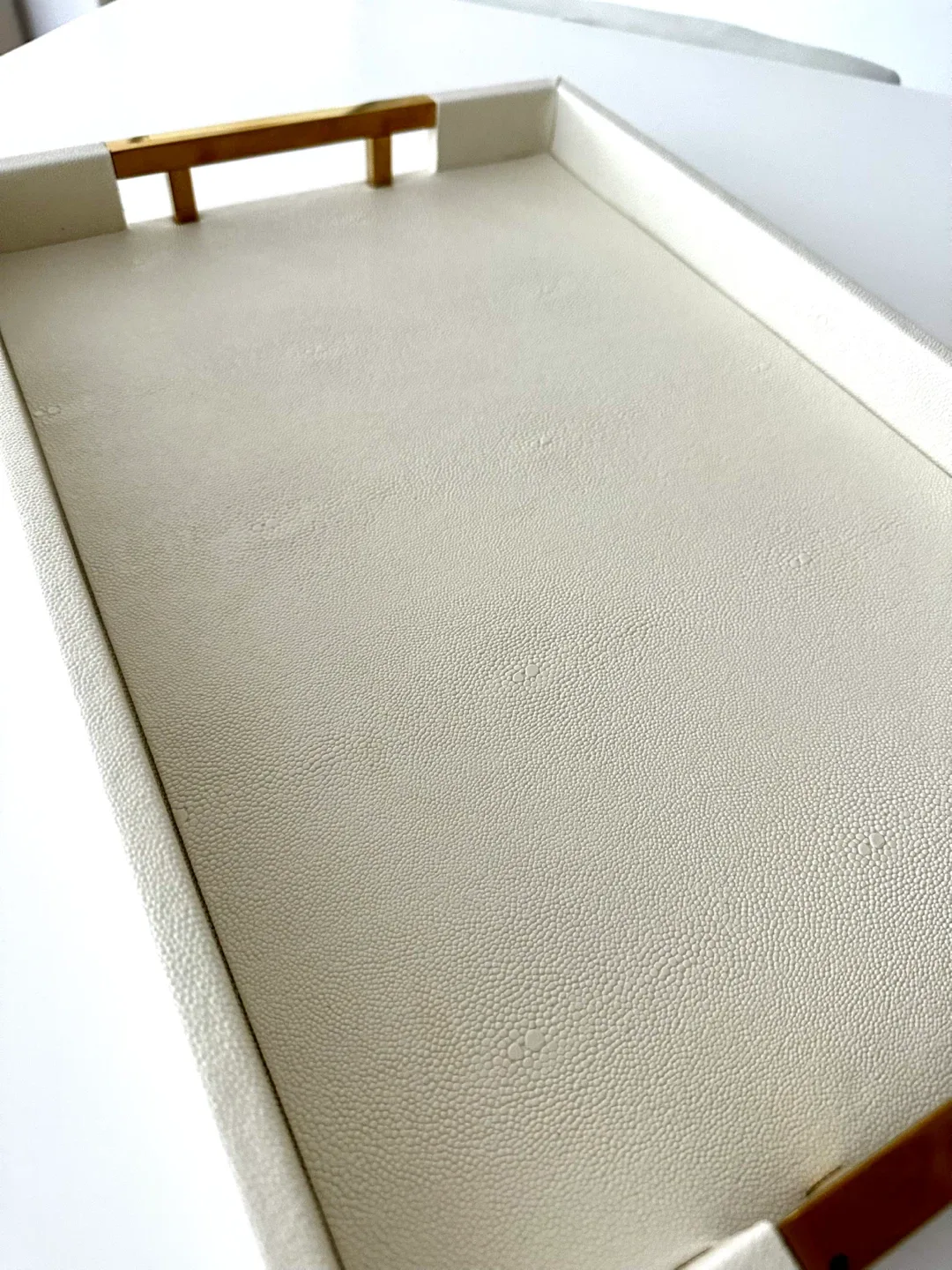 Home Redefined White Faux Leather Tray image indicator(4)