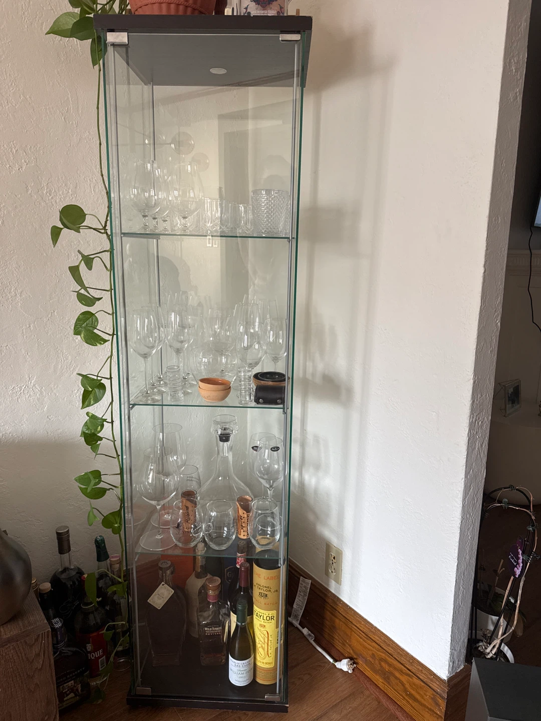 Tall Glass Display Cabinet