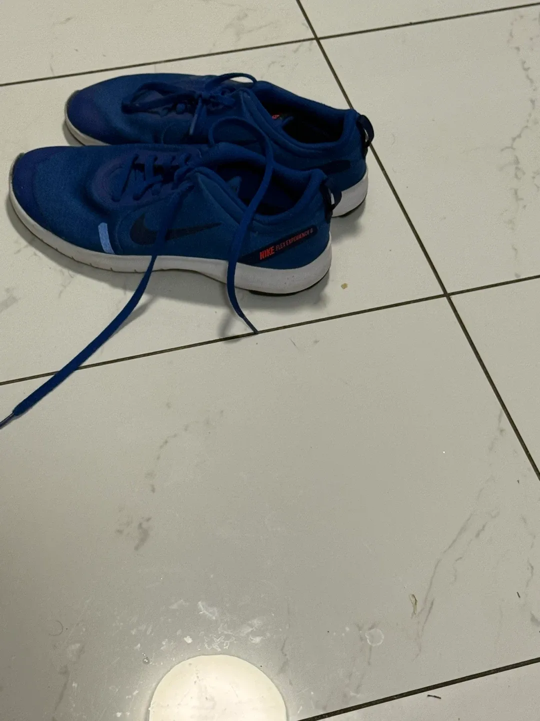 Nike Flex Experience RN 9 Blue Running Shoes image indicator(4)