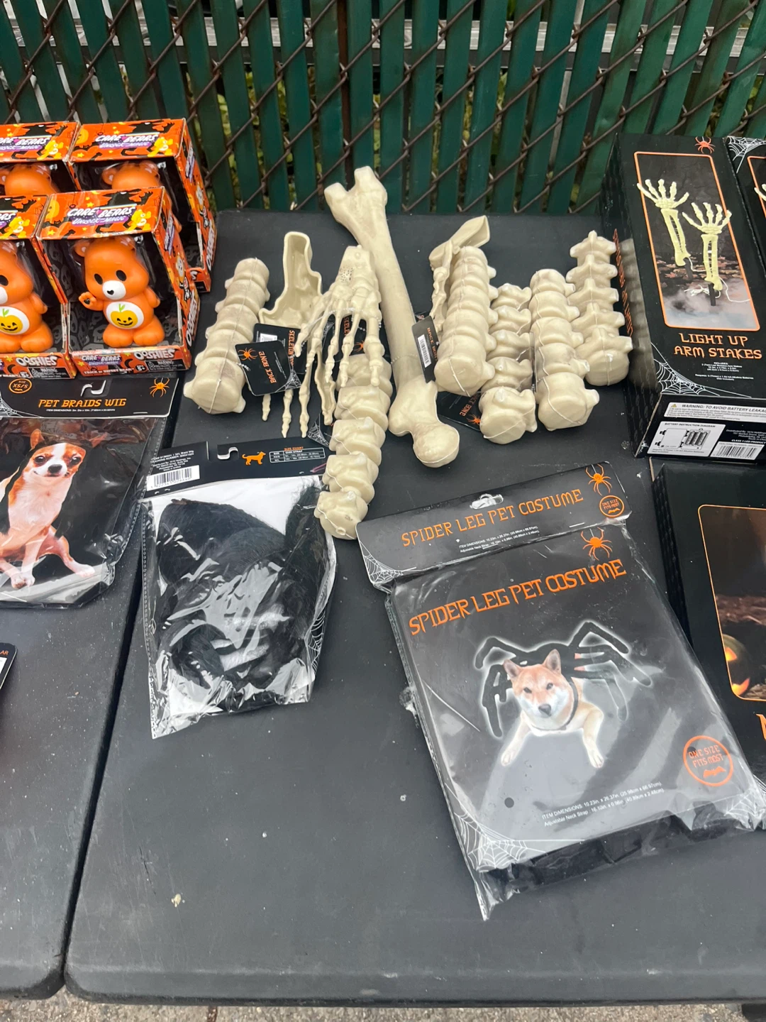 Halloween Pet Costume & Skeleton Bones