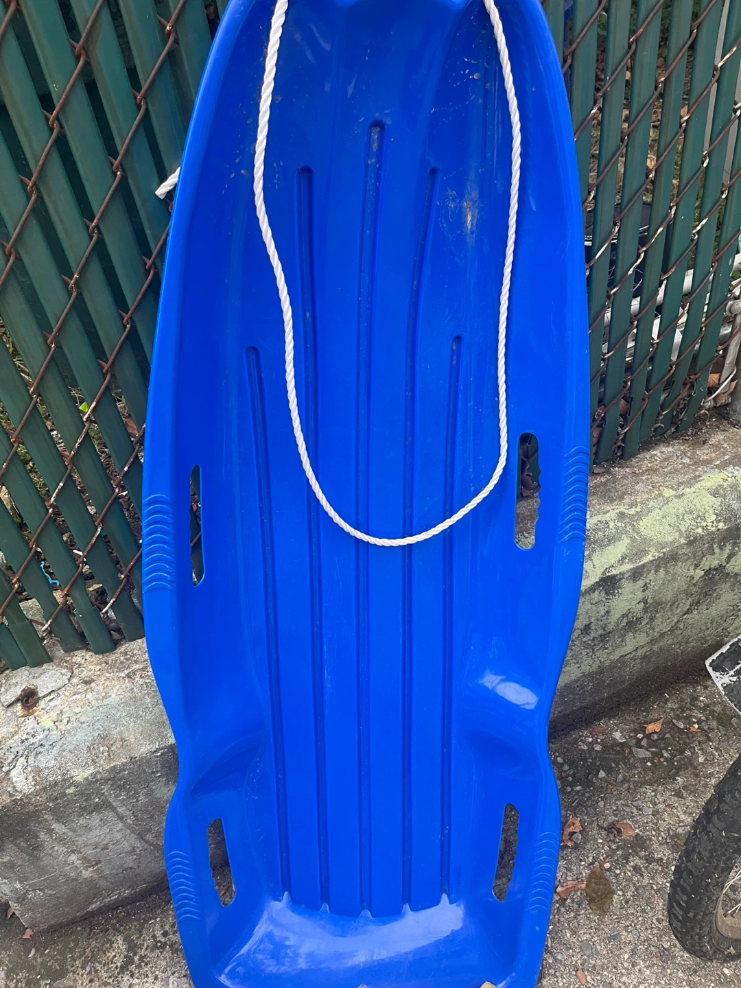 Blue Plastic Sled