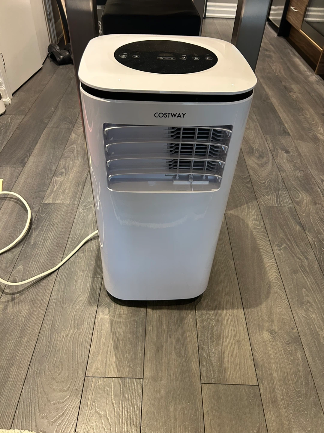 Costway Portable Air Conditioner and Dehumidifier