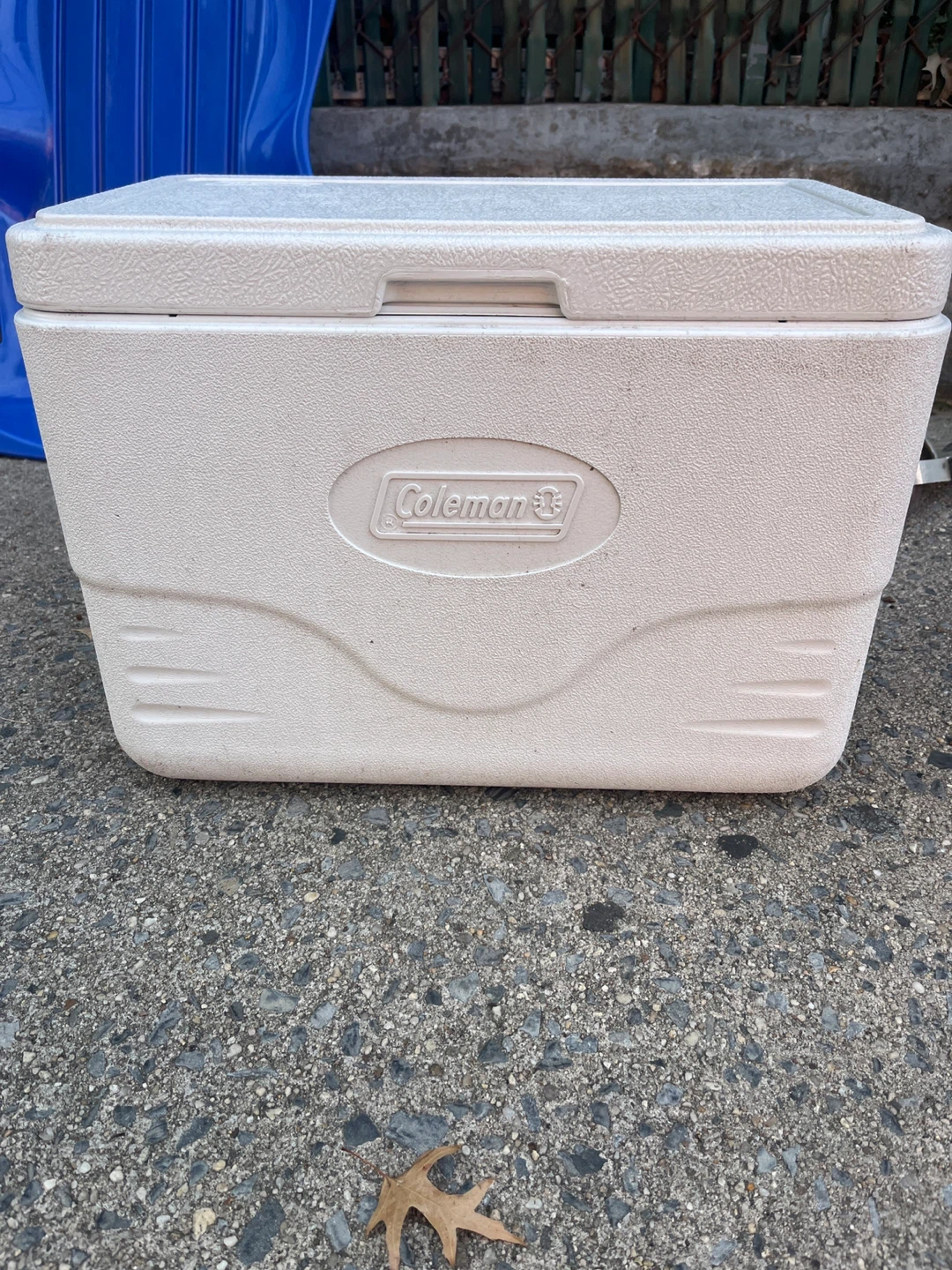 Coleman White Cooler
