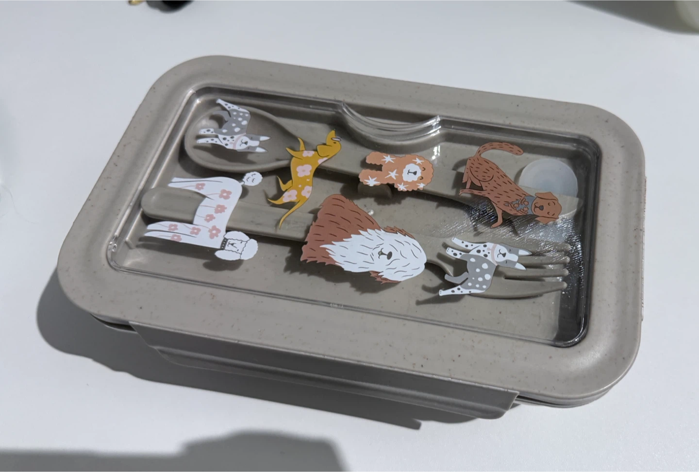 Lunch Box with Spoon & Fork