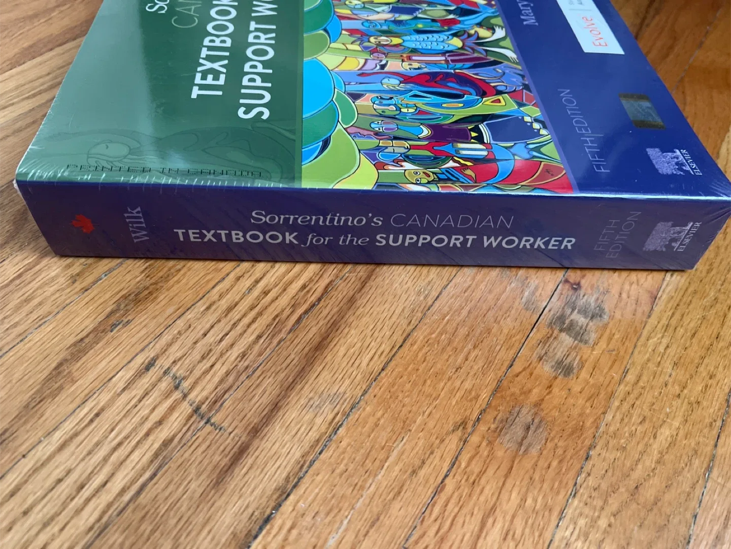 Sorrentino's Canadian Textbook for the Support Worker image indicator(4)