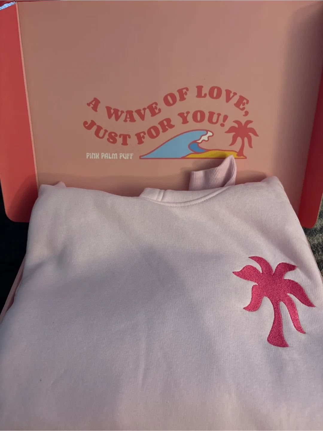 NEW Authentic Pink Palm Puff Pink Hoodie with Box image indicator(3)