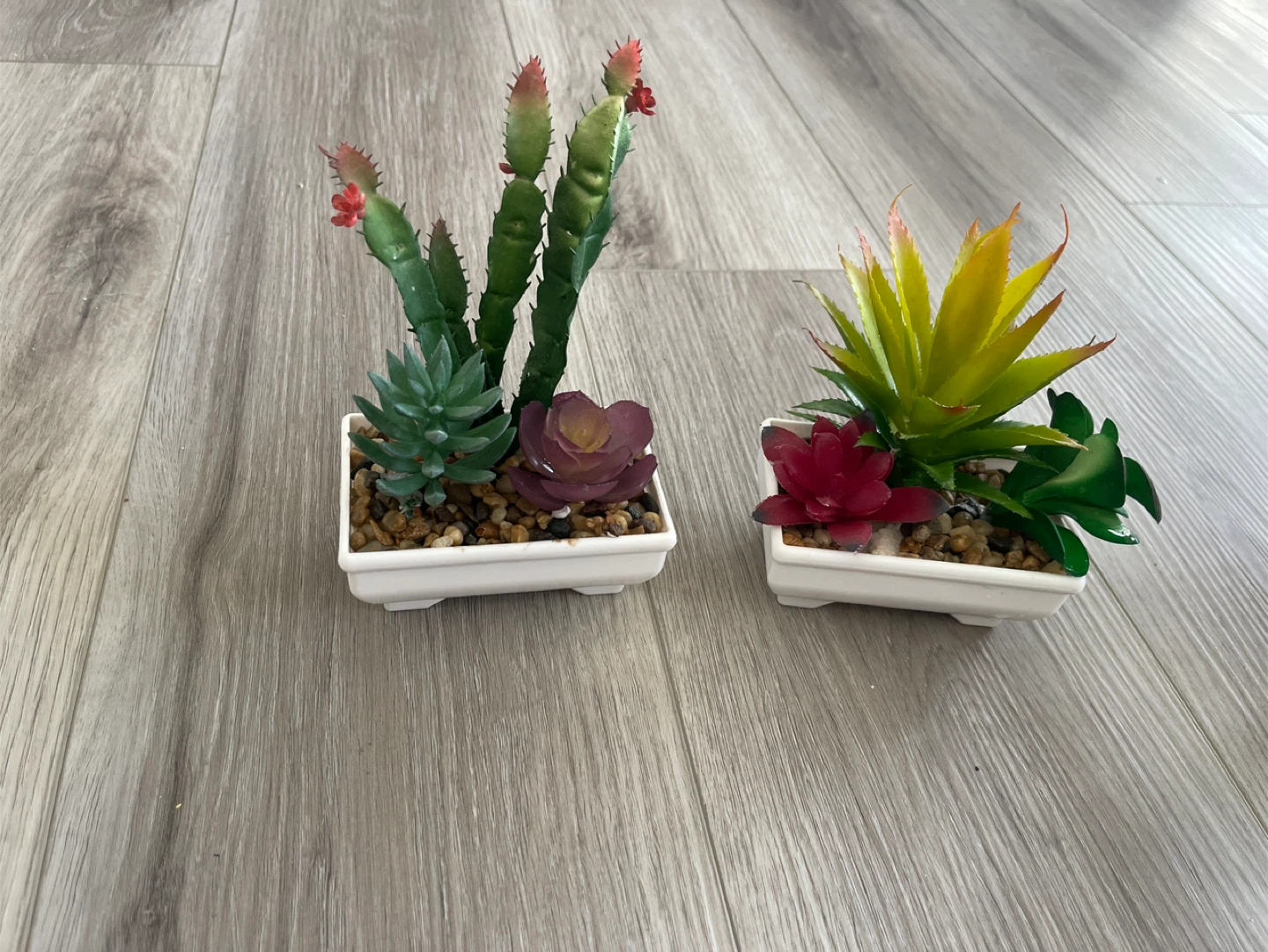 Two Artificial Succulent Plants in White Pots