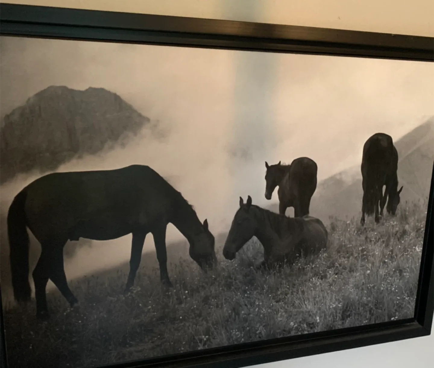 Framed black and white thumbnail