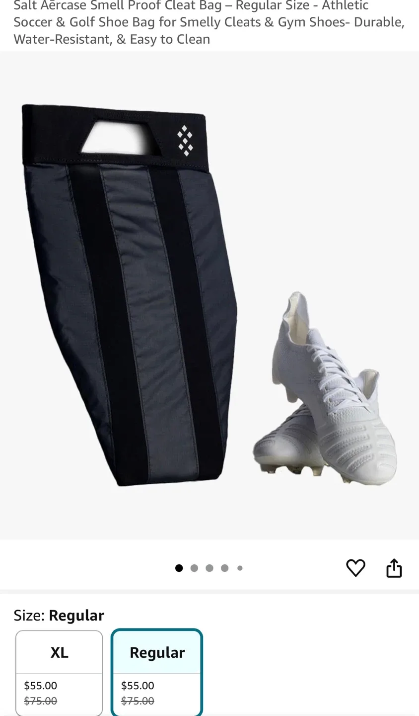 Salt Aercase Smell Proof Cleat Bag - Regular Size image indicator(2)