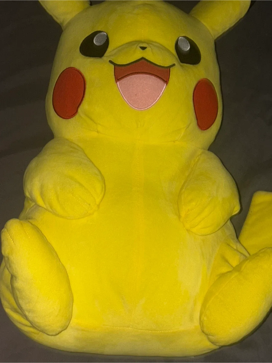 Pikachu Plush Toy - Yellow image indicator(4)