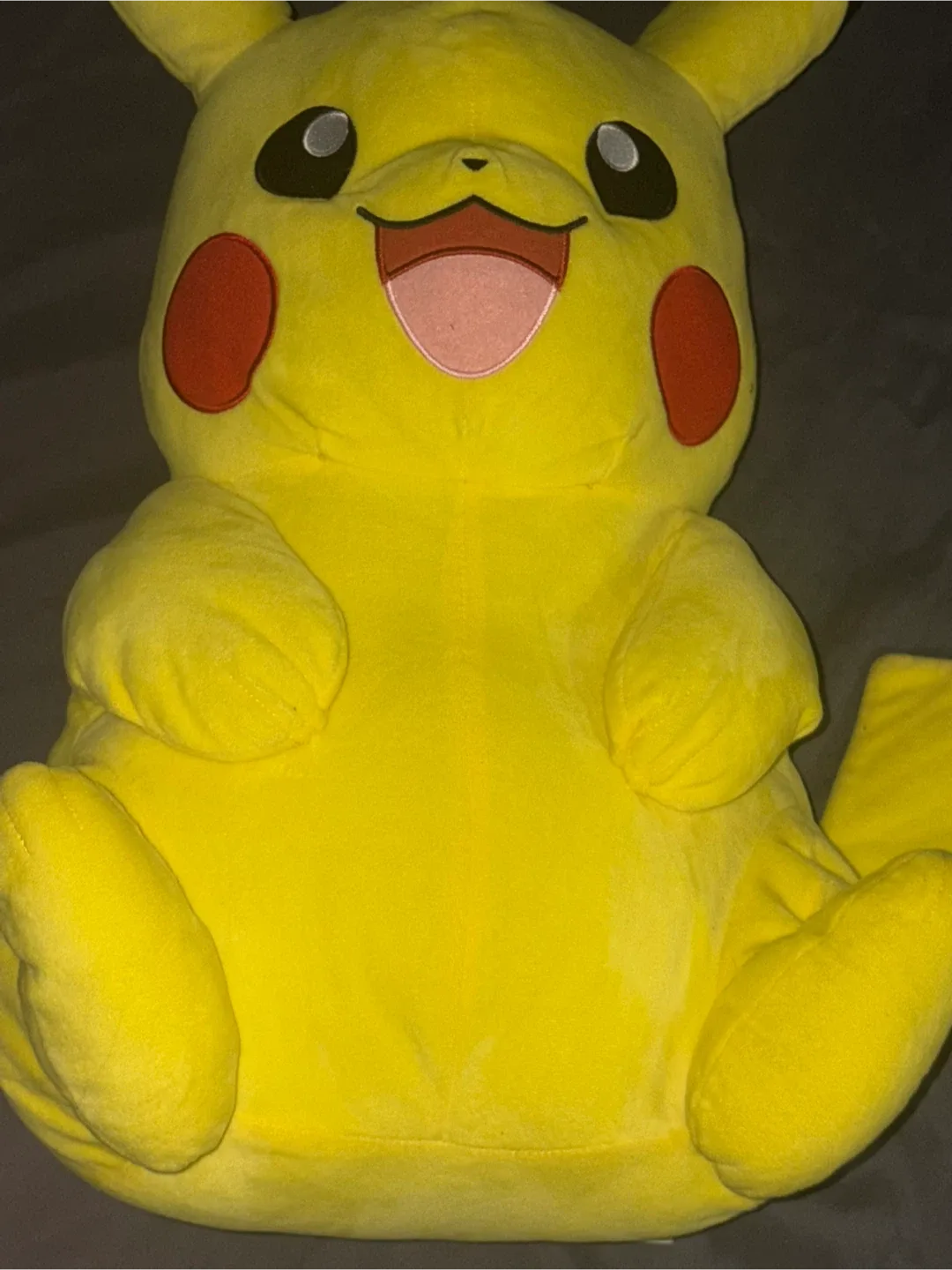 Pikachu Plush Toy - Yellow image indicator(2)