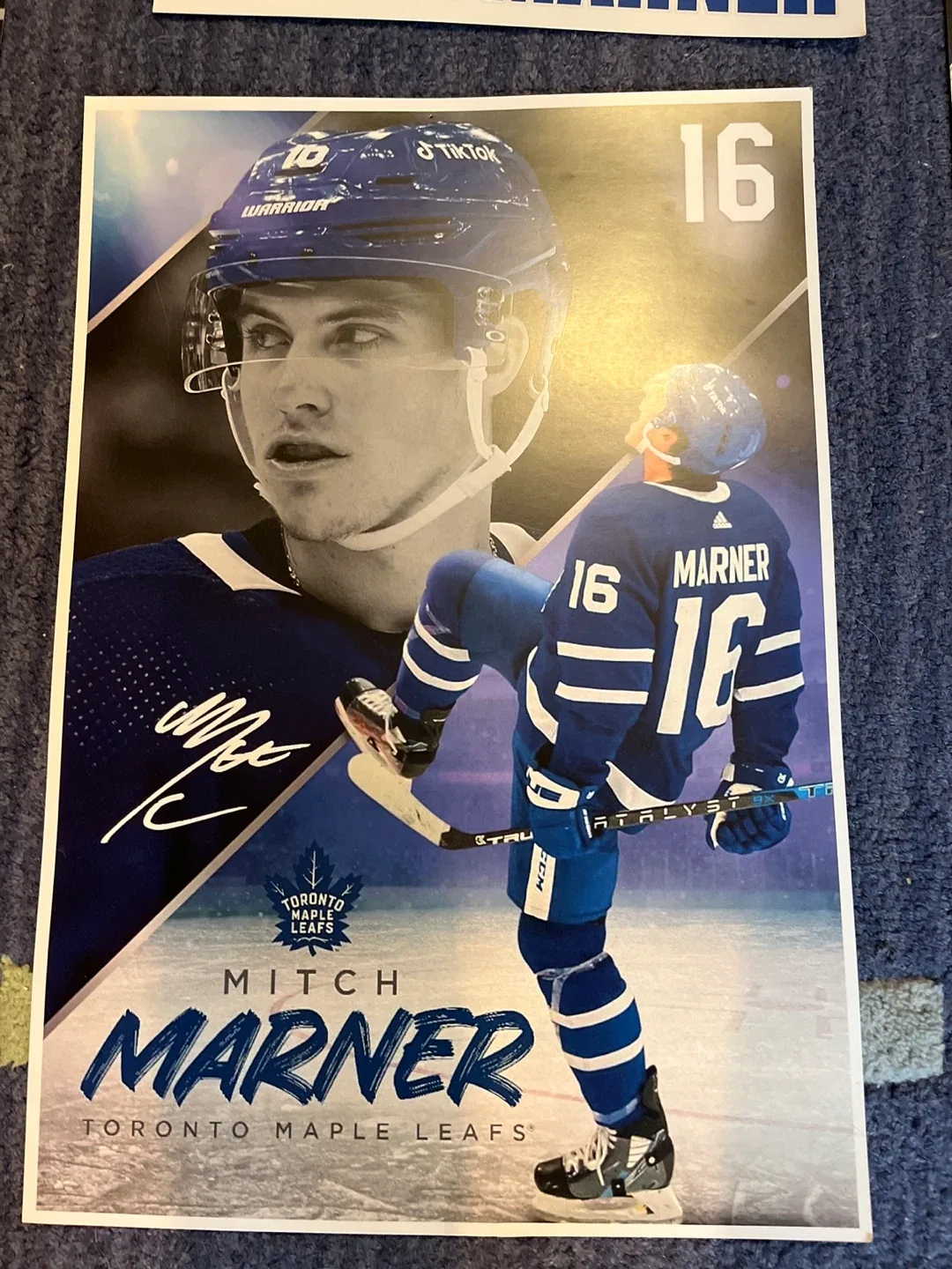 NHL Superstars & Goaltenders Posters image indicator(2)