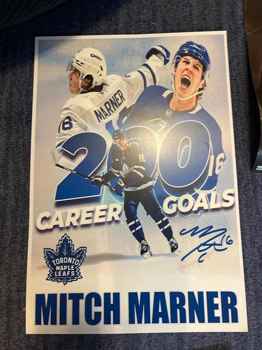 NHL Superstars & Goaltenders Posters image indicator(3)