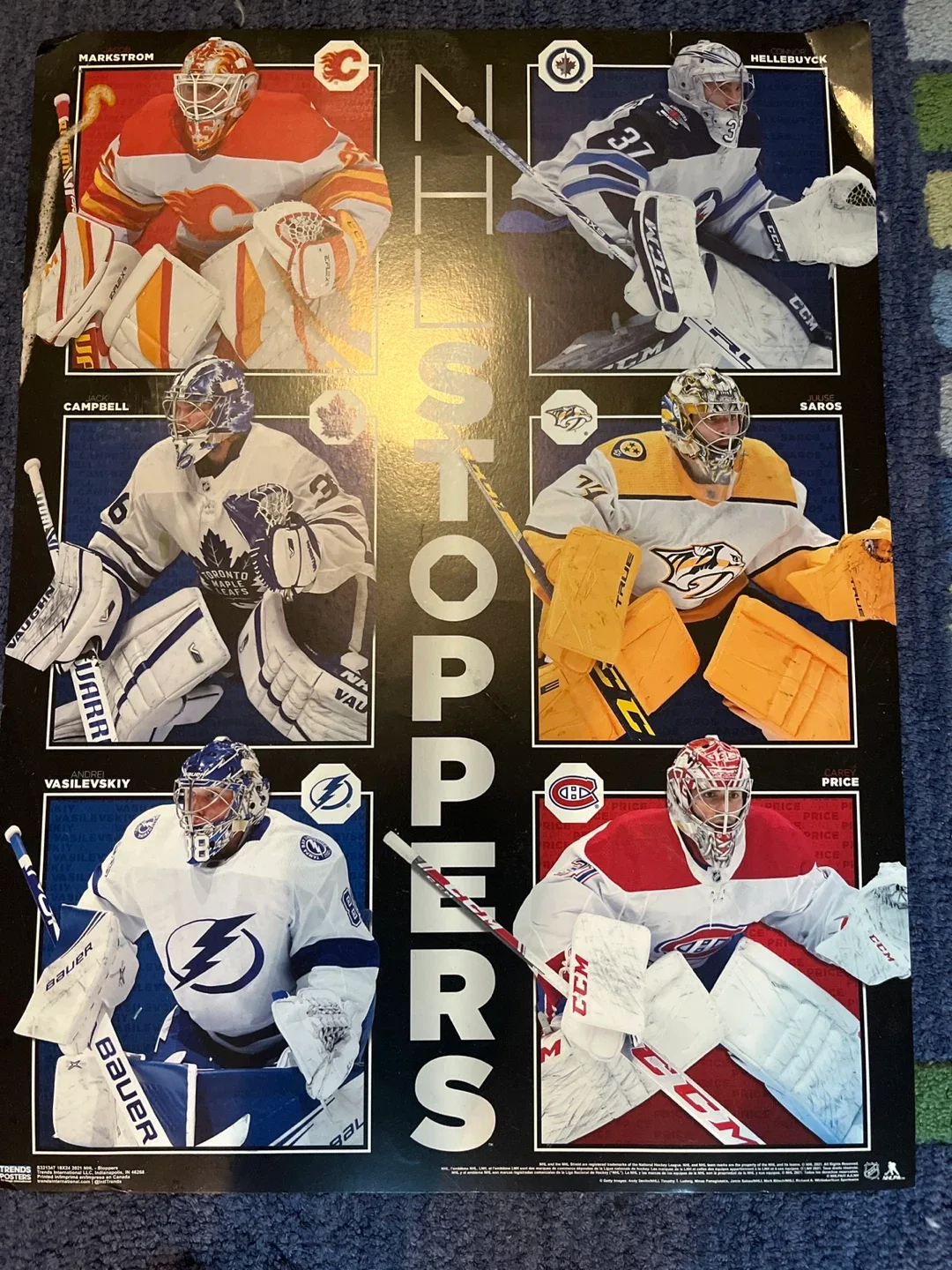 NHL Superstars & Goaltenders Posters image indicator(4)