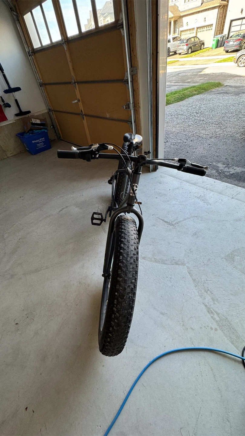 Dunlop Blizzard Fat Tire Bike - photo 4