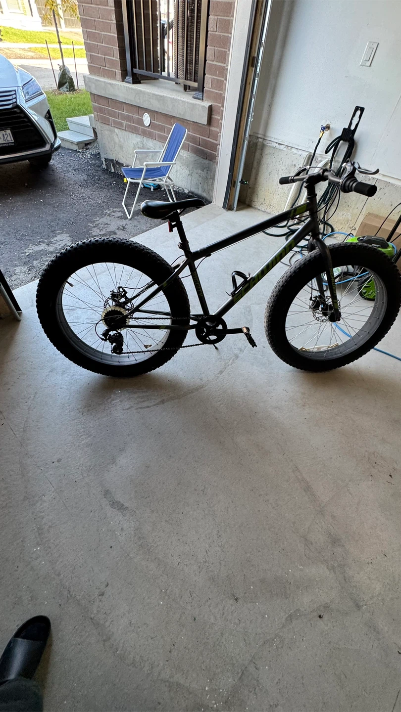 Dunlop Blizzard Fat Tire Bike
