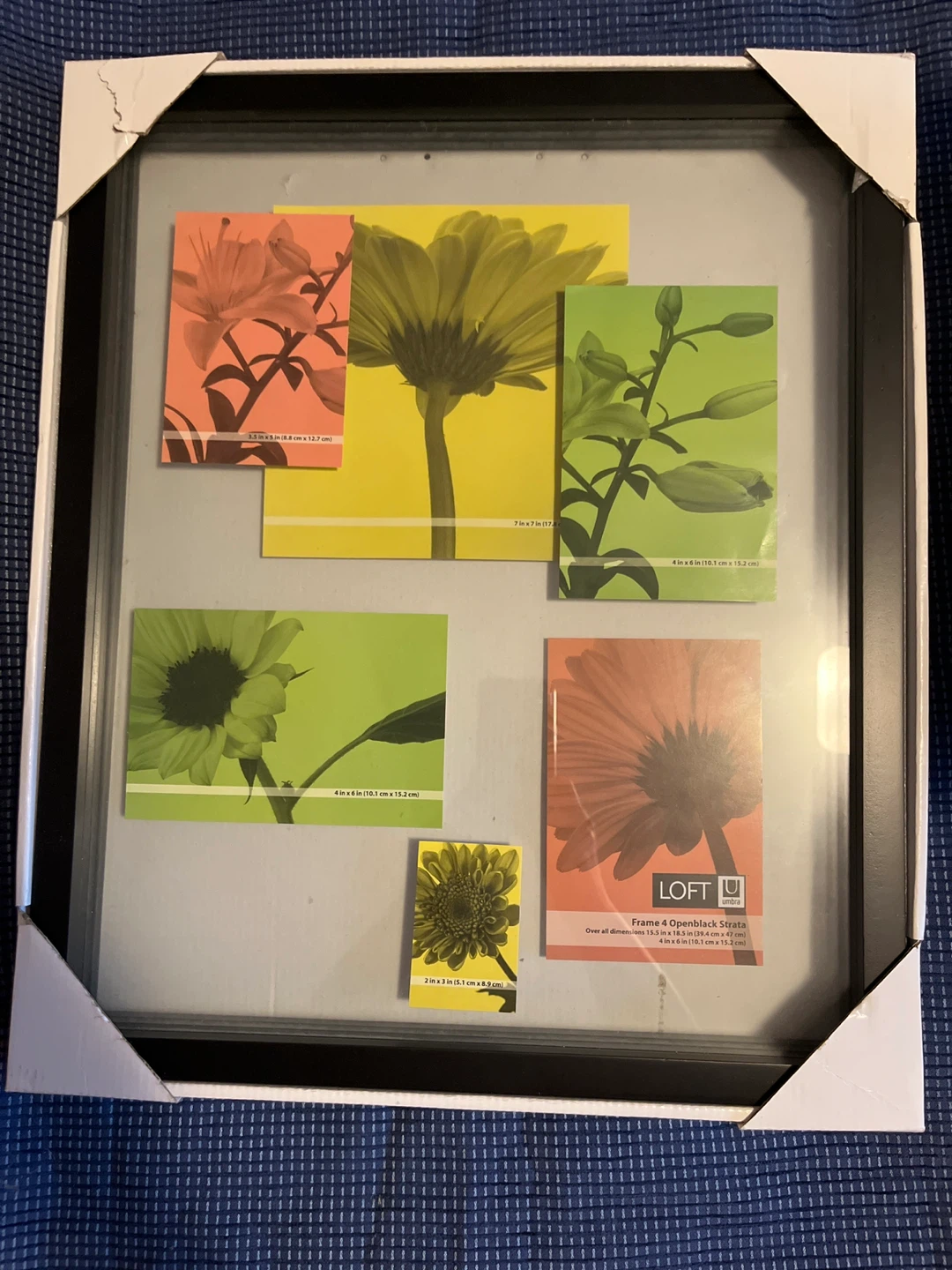 Picture Frame