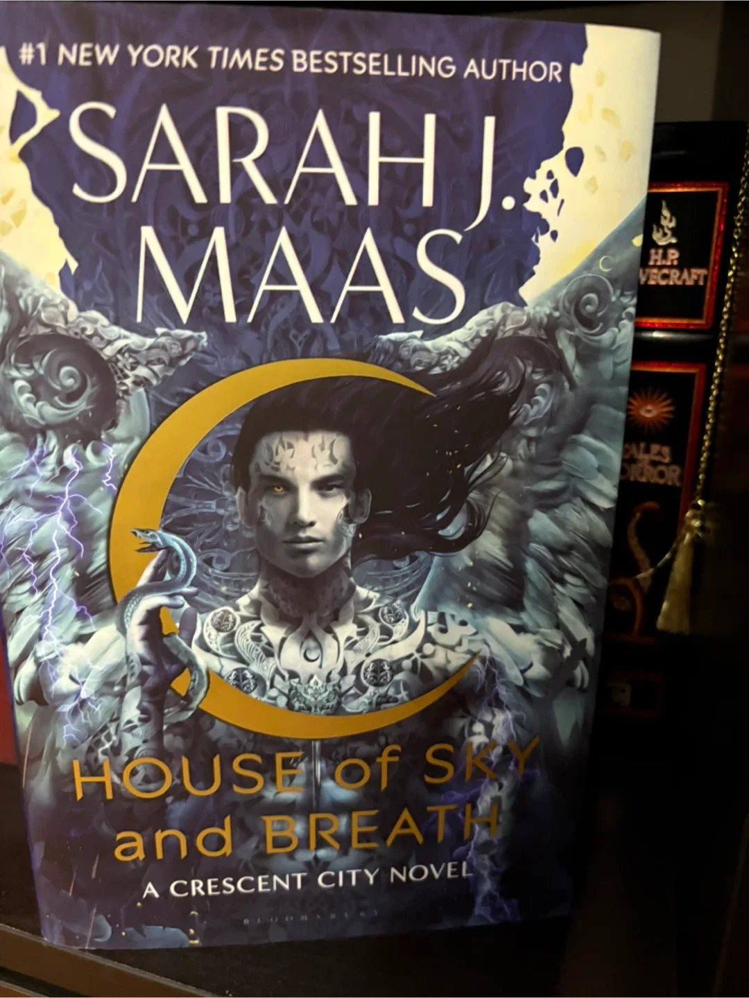 Sarah J. Maas Crescent City Book Series image indicator(2)