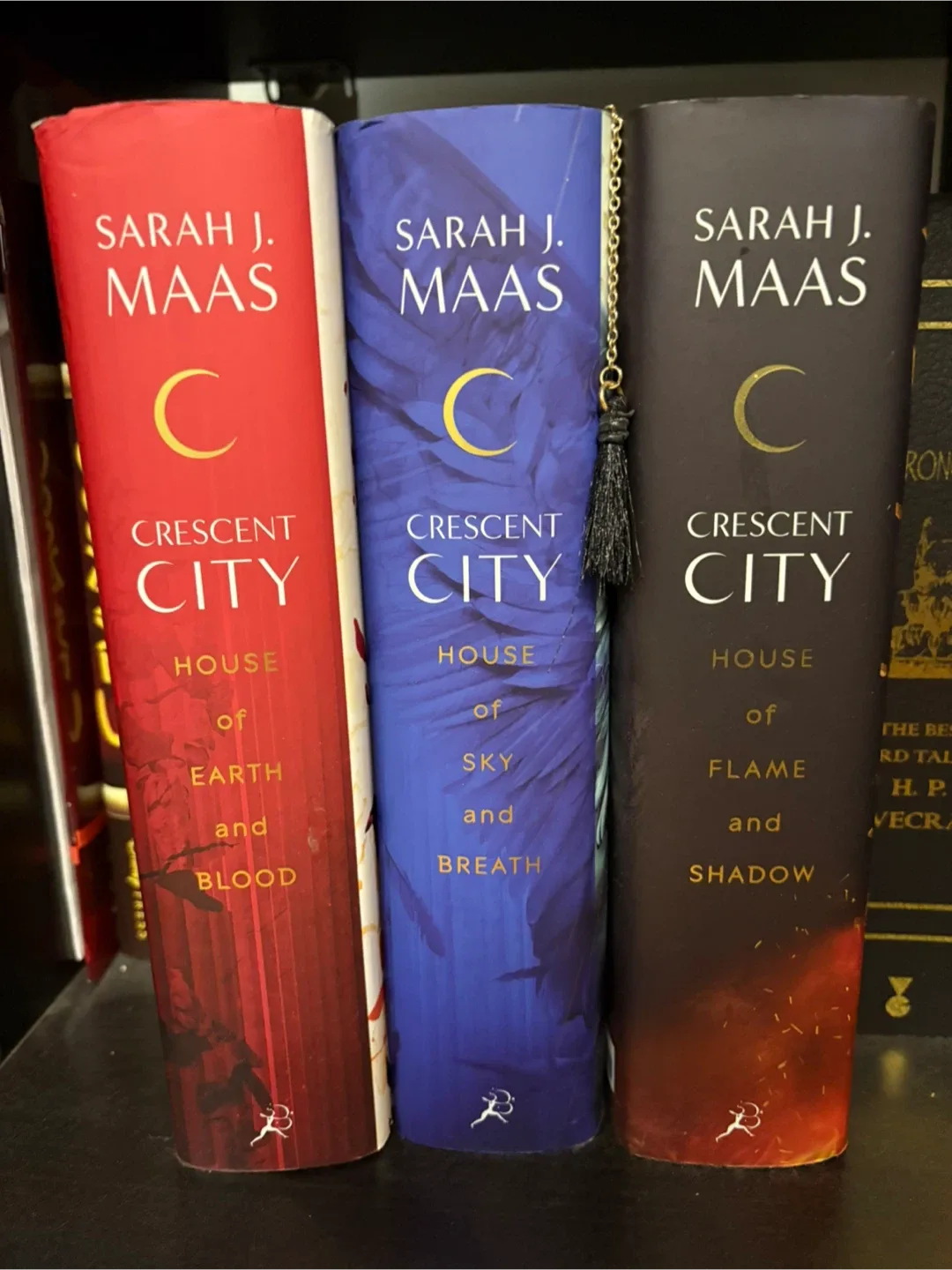 Sarah J. Maas Crescent City Book Series image indicator(4)