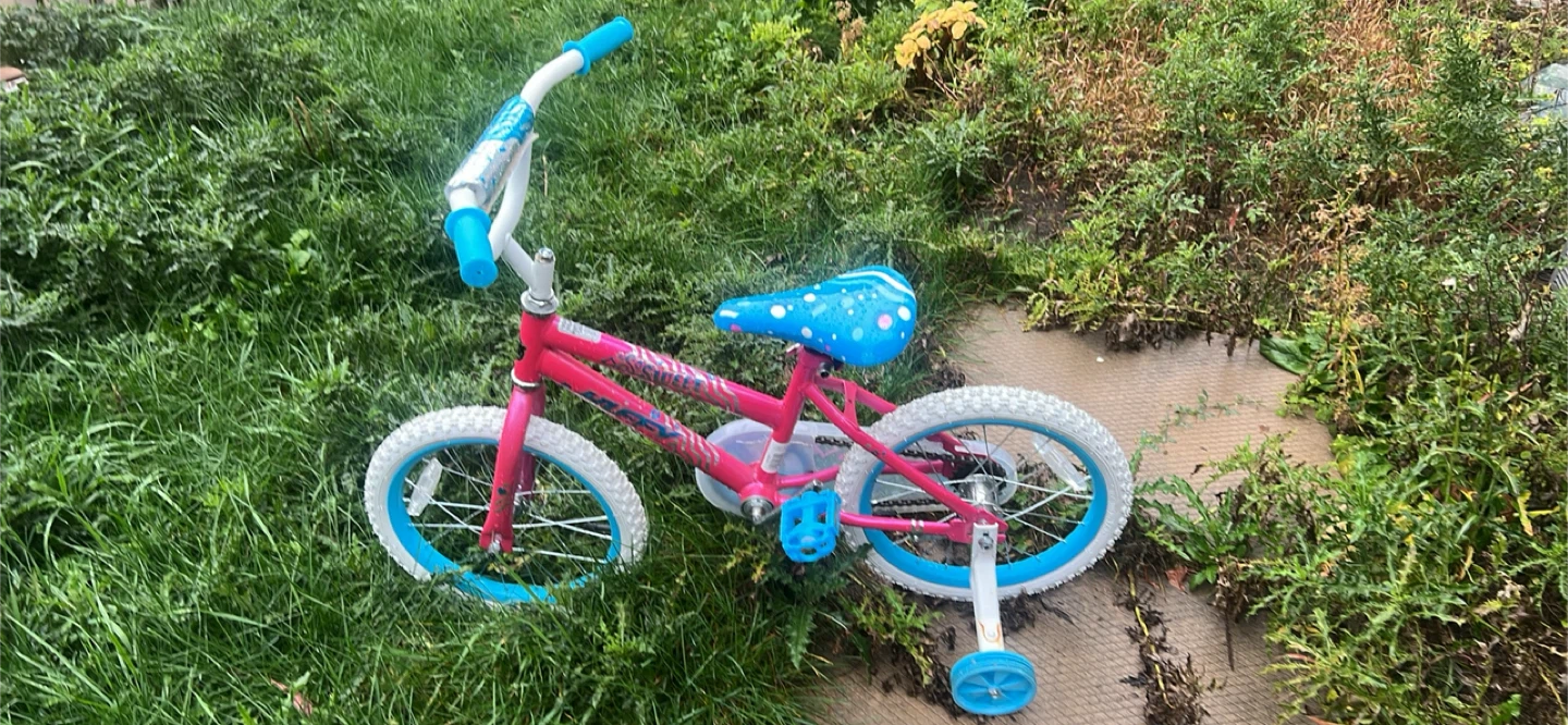 Kids Pink & Blue Bike