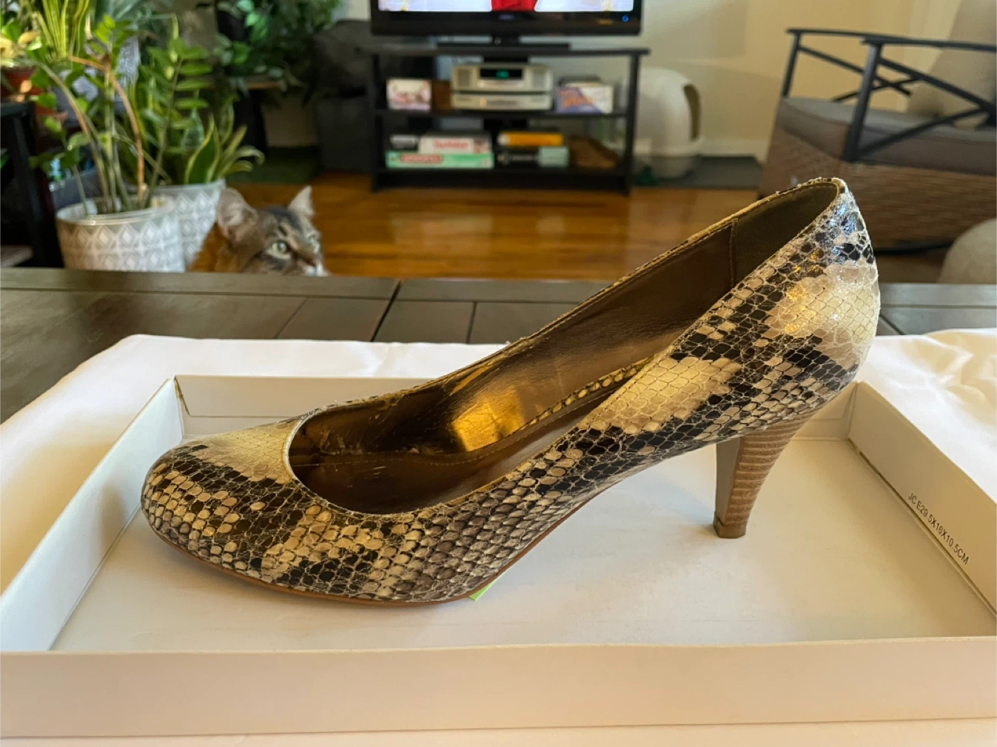 Steve Madden Snakeskin Heels - photo 3