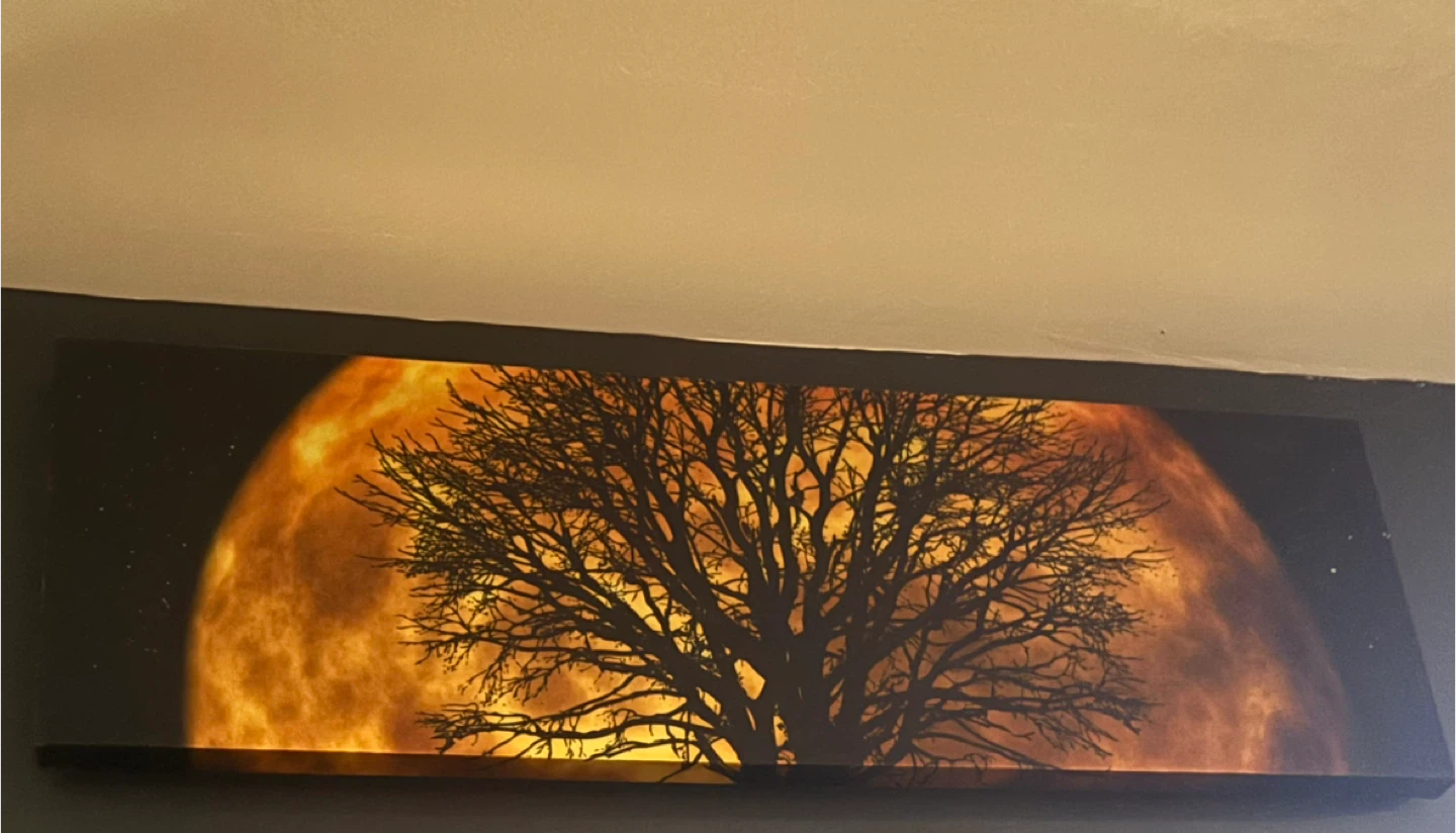 Dark full moon & tree - photo 2