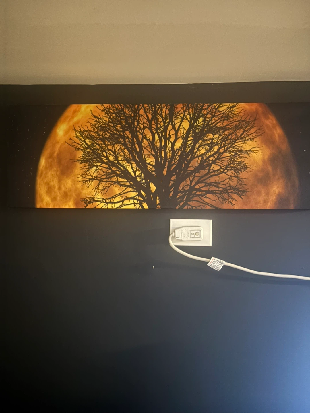 Dark full moon & tree