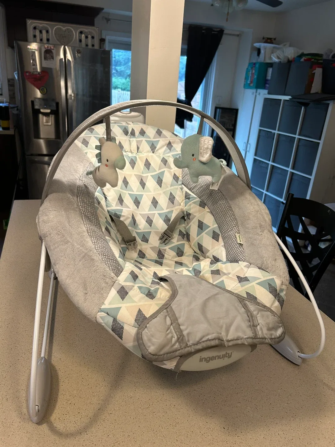 Ingenuity Baby Bouncer image indicator(3)