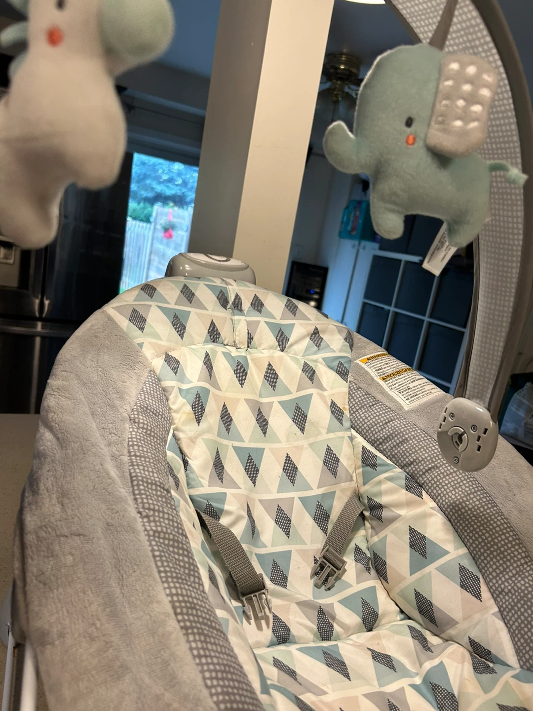 Ingenuity Baby Bouncer