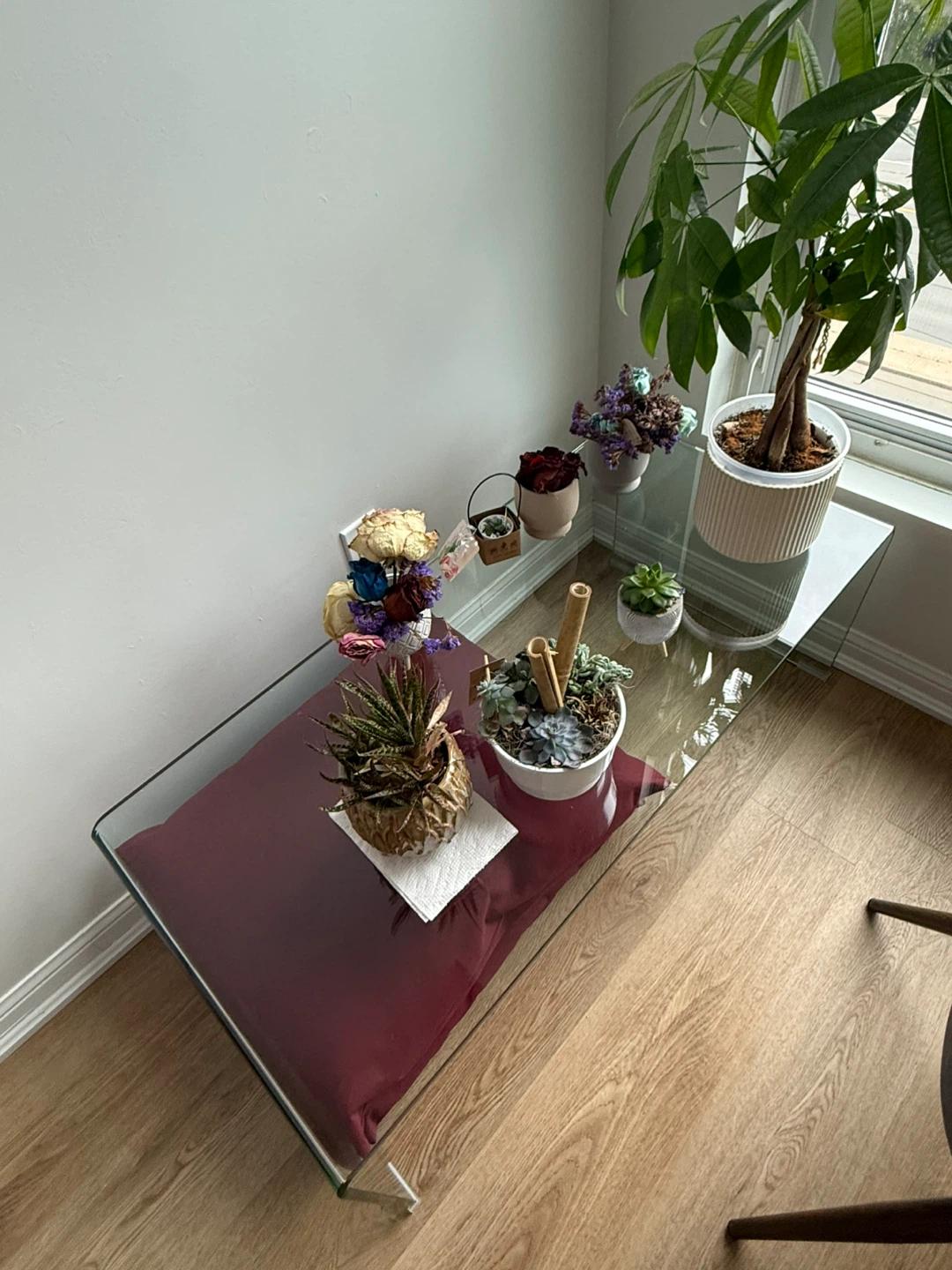 Glass Coffee Table - photo 2