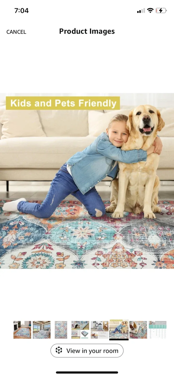 Mandala Area Rug 4 x 6 ft image indicator(7)