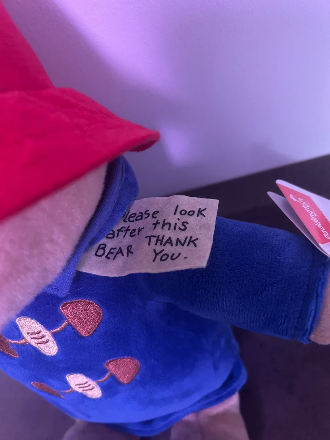 Paddington Bear Plush Toy image indicator(2)