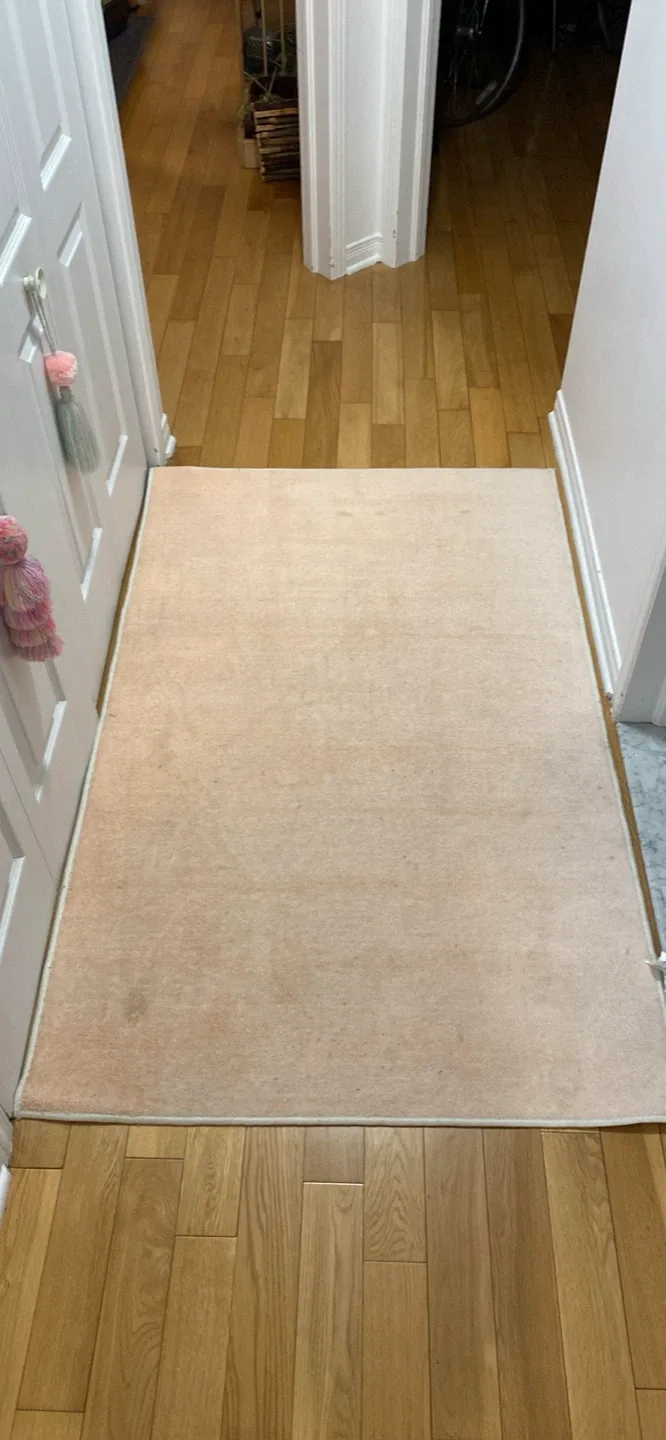 Ruggable rug (3x5ft)