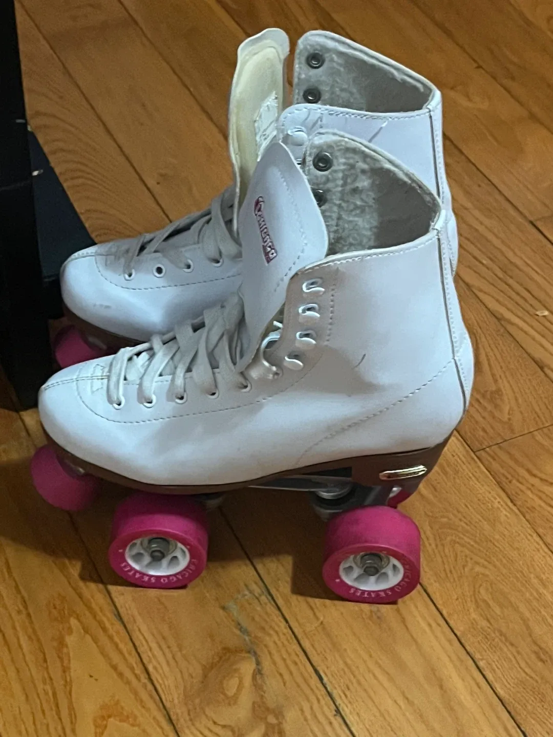 Chicago skates image indicator(2)