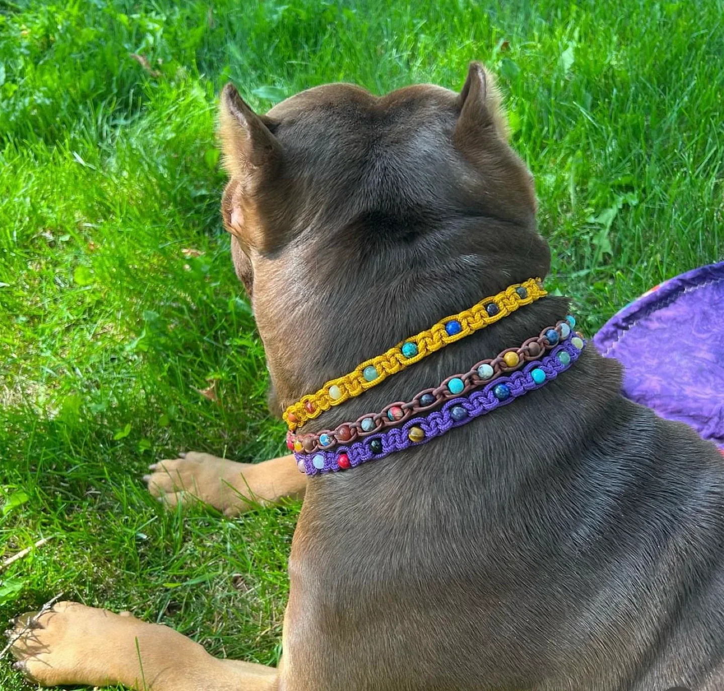 Handmade Beaded Dog necklace & Bracelet Set image indicator(2)