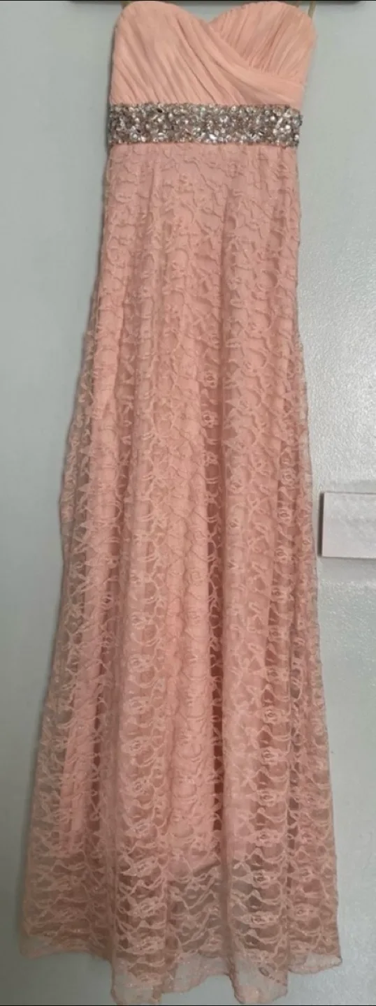 My Michelle Pink Sweetheart Lace Gown – Size 5 image indicator(3)