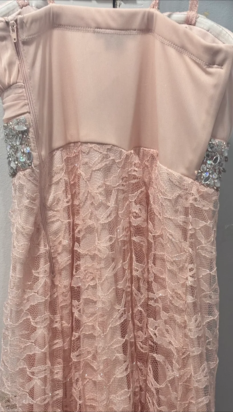 My Michelle Pink Sweetheart Lace Gown – Size 5 image indicator(6)