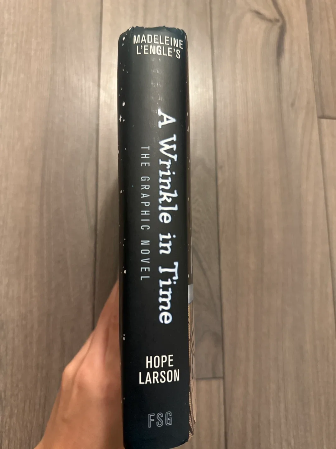 A Wrinkle in Time: The Graphic Novel by Madeleine L'Engle image indicator(2)