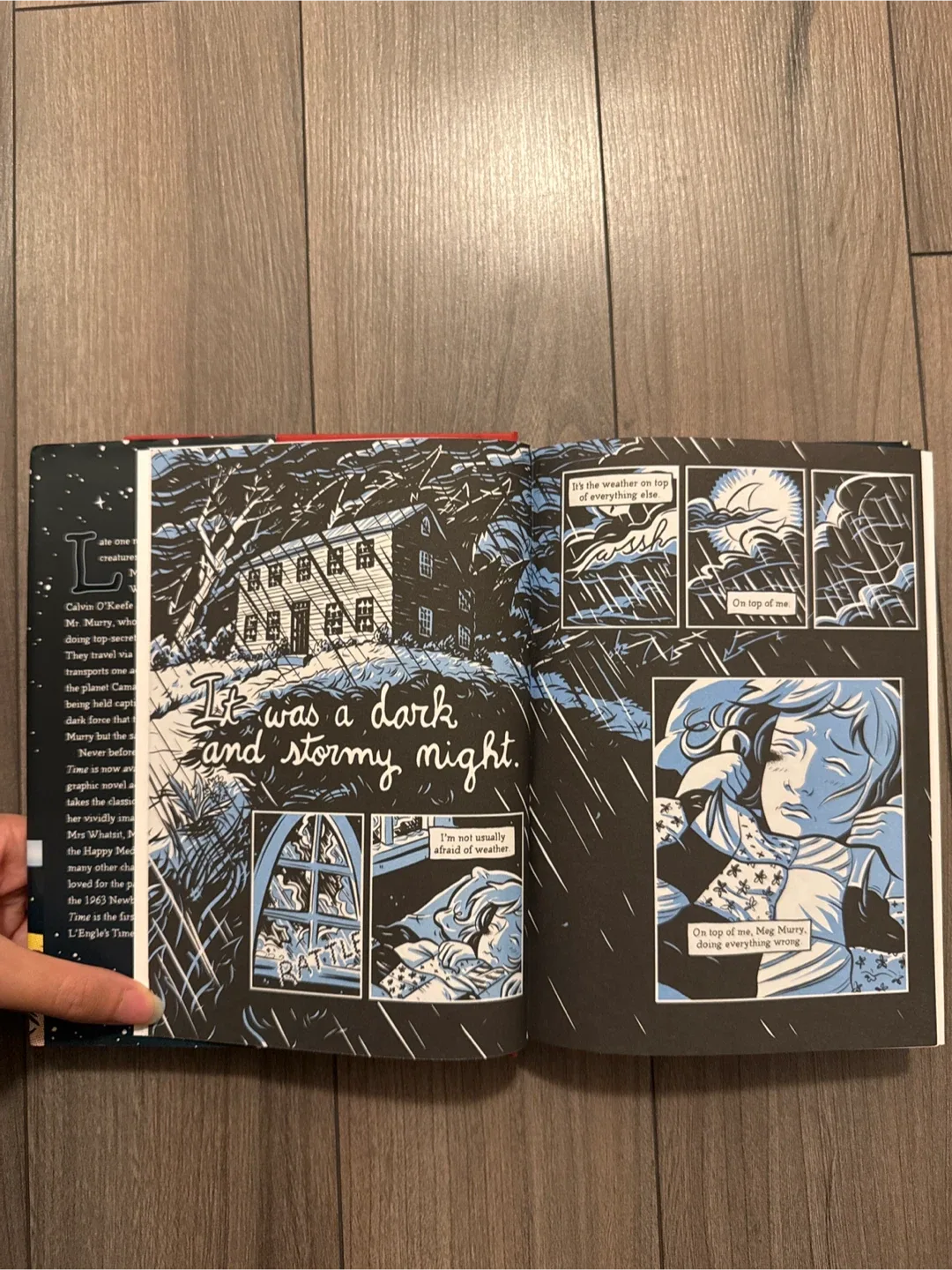 A Wrinkle in Time: The Graphic Novel by Madeleine L'Engle image indicator(5)