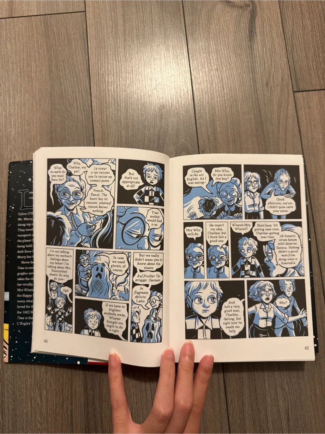 A Wrinkle in Time: The Graphic Novel by Madeleine L'Engle image indicator(7)