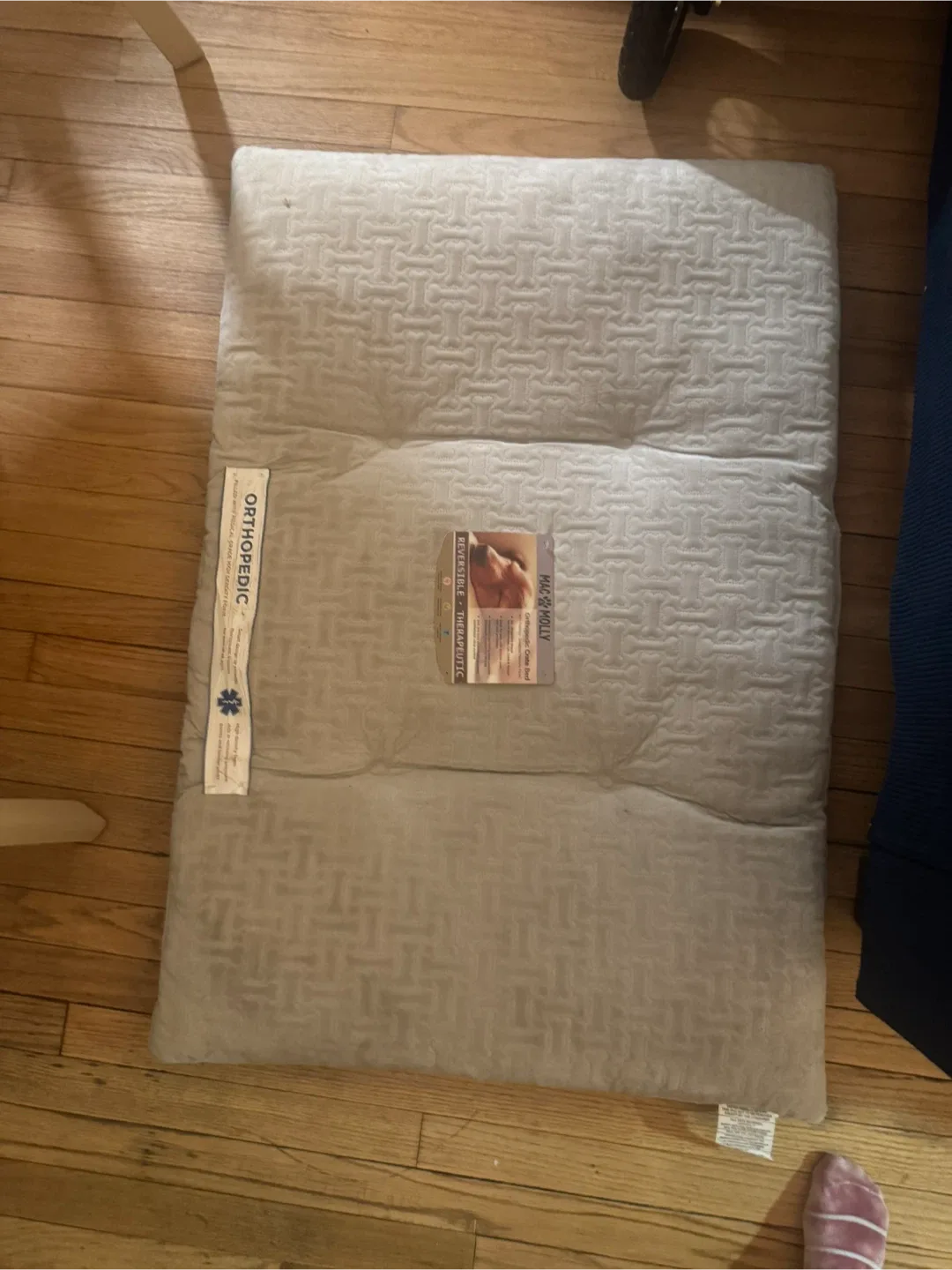 Big & Molly Orthopedic Therapeutic Dog Bed image indicator(2)