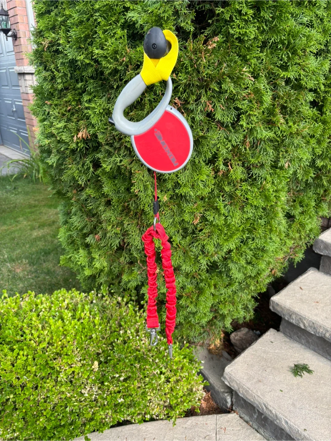 Moxone Kids Backpack with Leash image indicator(7)