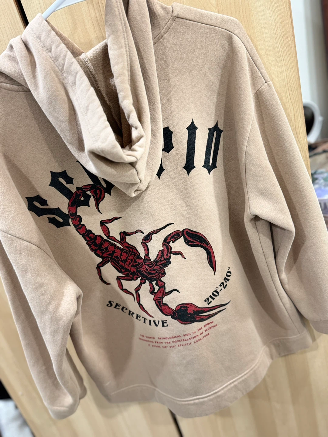 Scorpio Graphic Hoodie