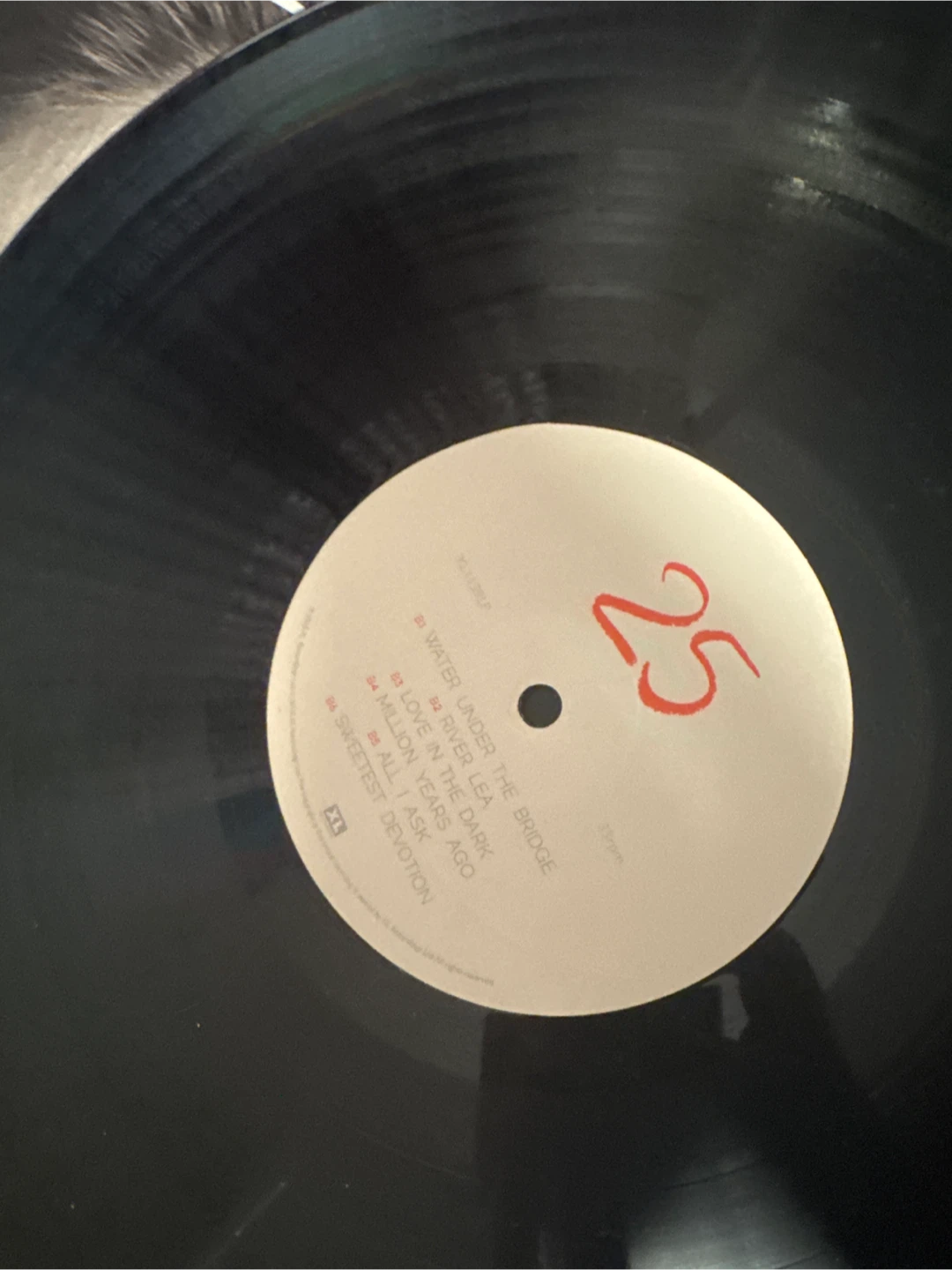 Adele 25 Vinyl Record - photo 2