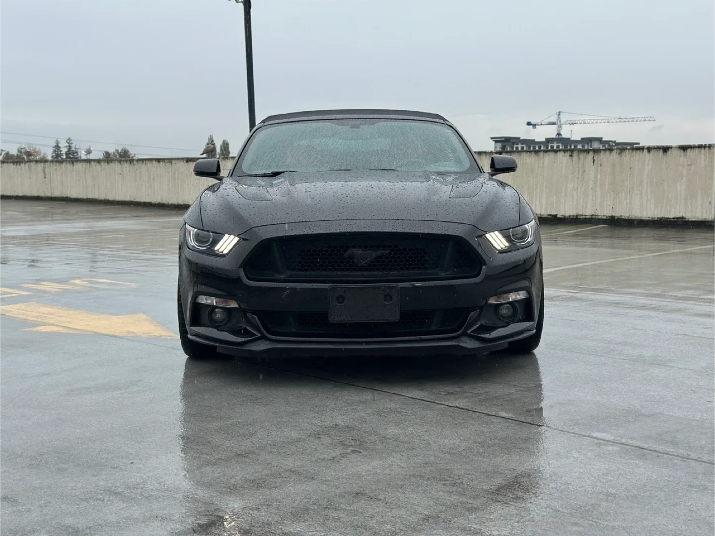 Black Ford Mustang GT Convertible image indicator(5)