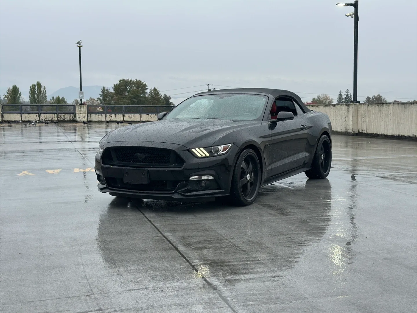 Black Ford Mustang GT Convertible image indicator(4)