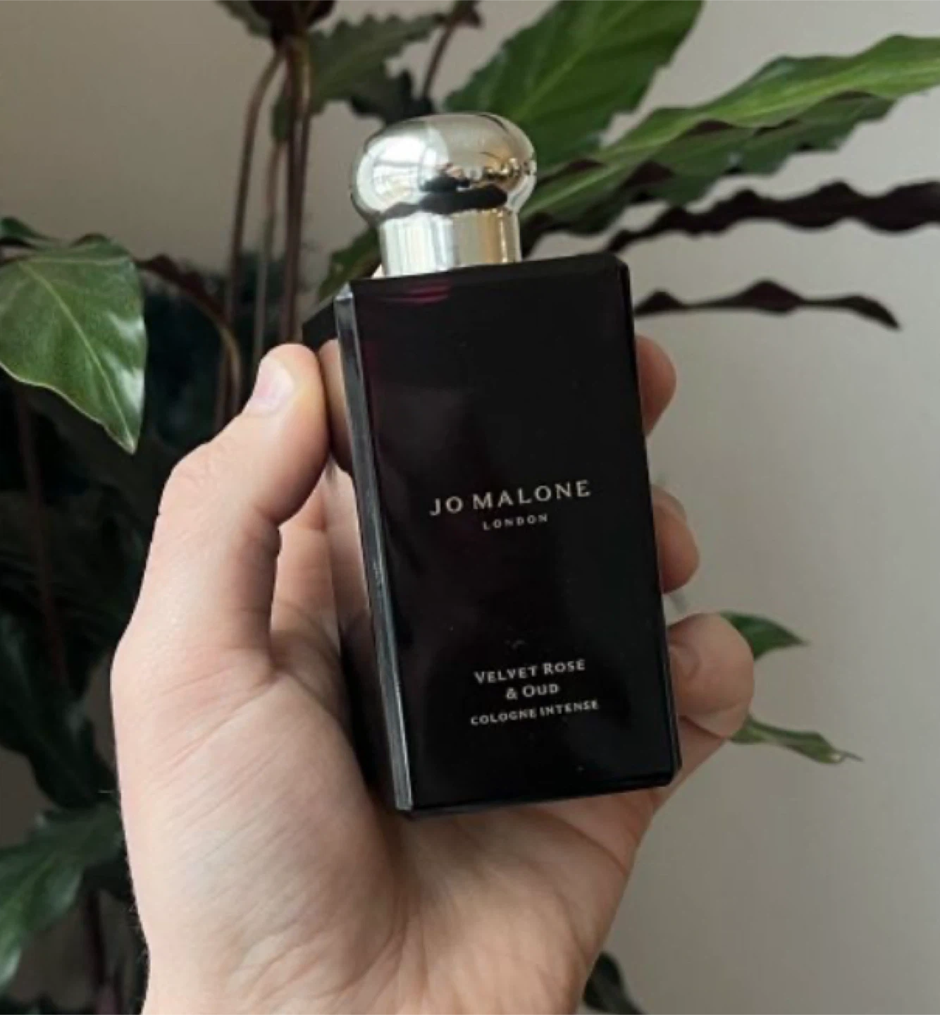 Jo Malone Velvet Rose & Oud Cologne Intense