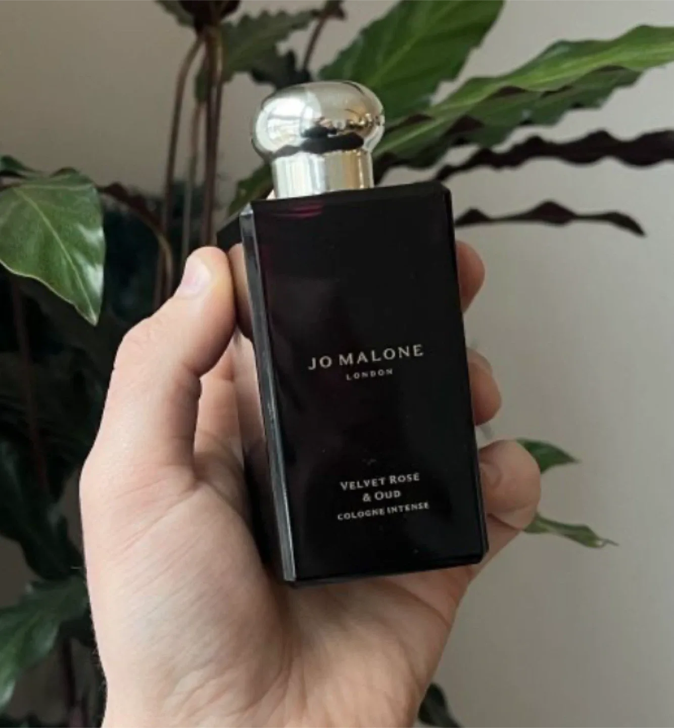 Jo Malone Velvet Rose & Oud Cologne Intense thumbnail